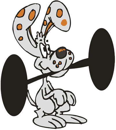 Logo GH Hundephysiotherapie